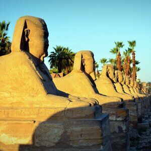 Women's Steel Onyx Skull Ring Pick Size!